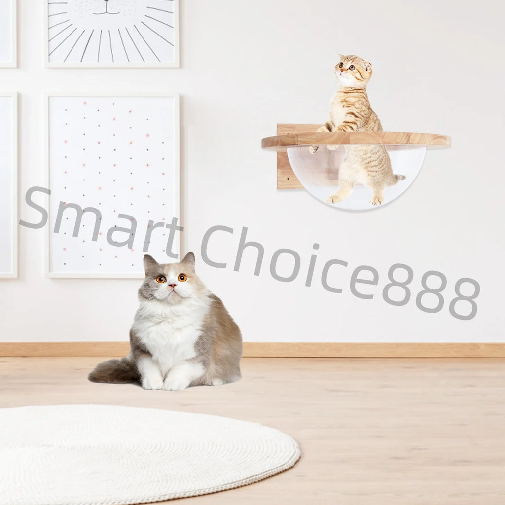 Cat Space Capsule Space Capsule-style Transparent Cover Cat Bed Small Pets Bed Cat Toy Cat Furniture Pet Supplies