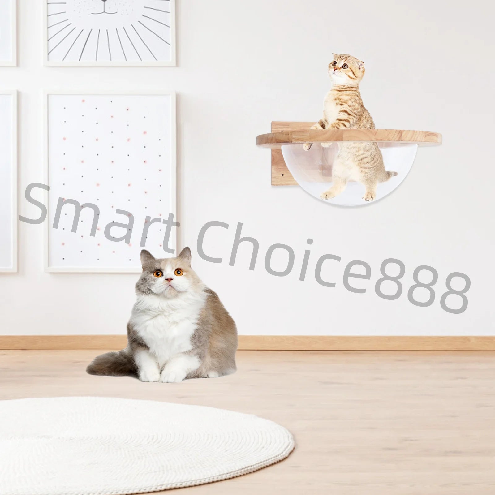 Cat Space Capsule Space Capsule-style Transparent Cover Cat Bed Small Pets Bed Cat Toy Cat Furniture Pet Supplies