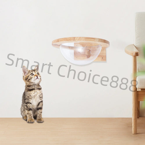 Cat Space Capsule Space Capsule-style Transparent Cover Cat Bed Small Pets Bed Cat Toy Cat Furniture Pet Supplies